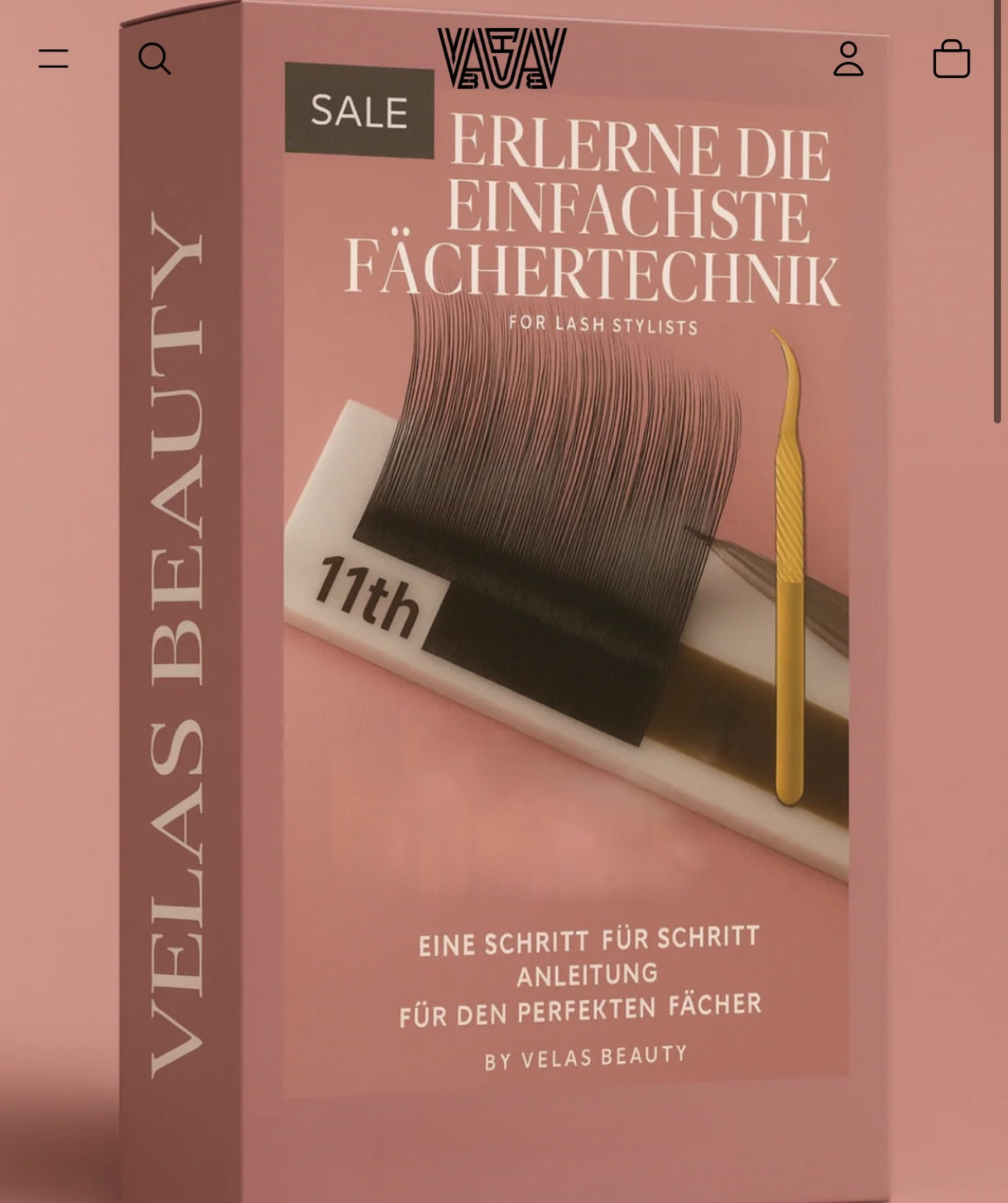 Fächertechnik online Kurs