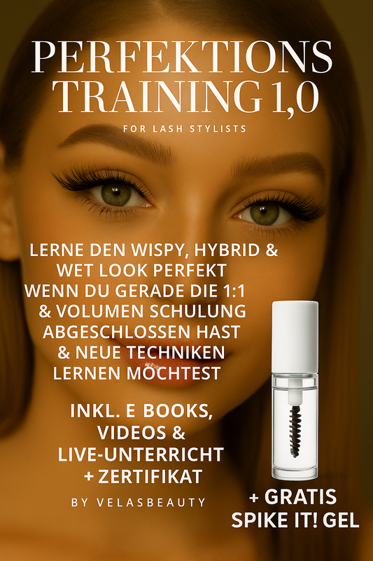Perfektionstraining 1.0