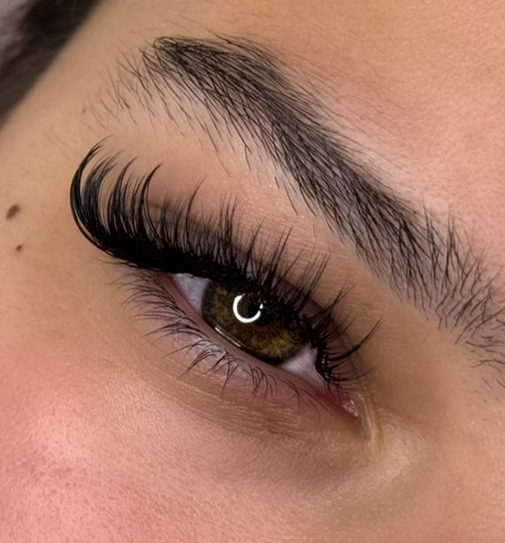 Online Wimpernschulung ( 1:1 , Volumen, Wispy ) inklusive Starterset