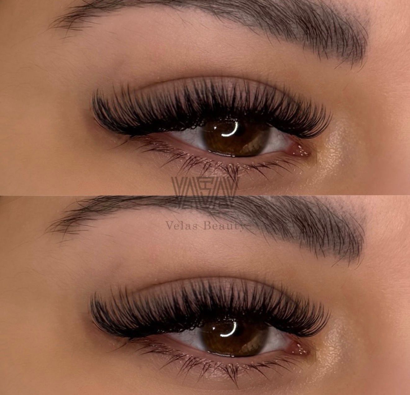 Online Wimpernschulung ( 1:1 , Volumen, Wispy ) inklusive Starterset